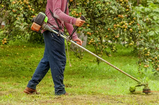 покос травы